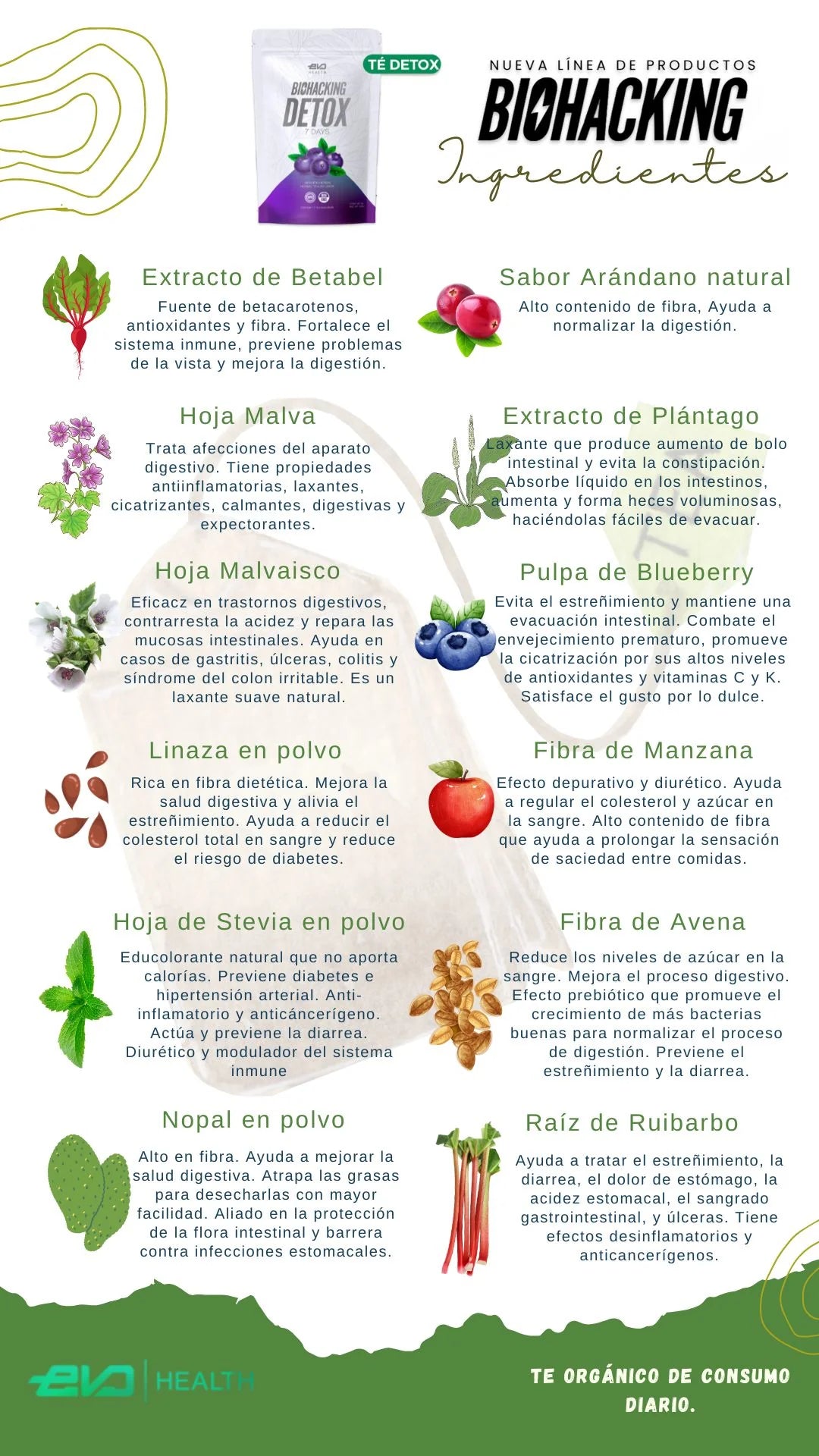 TÉ DETOX 3 SOBRES